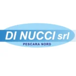 logo di nucci srl elettrodomestici pescara