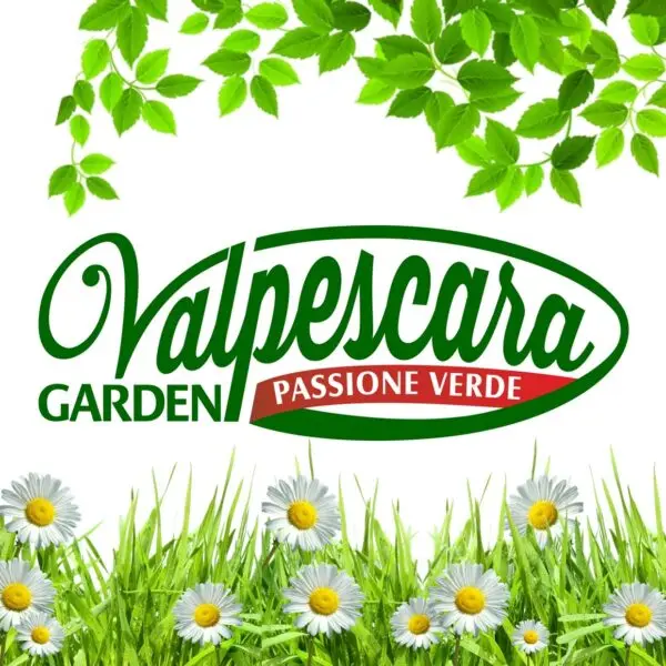logo vivaio valpescara garden